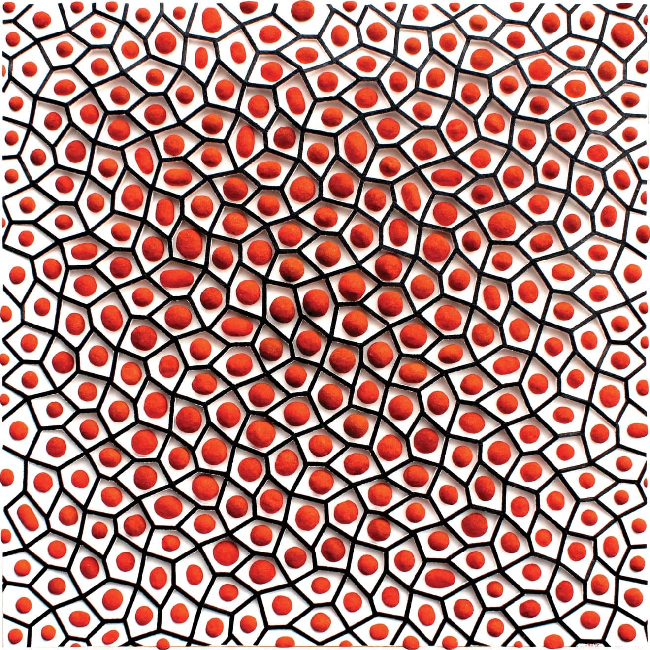 Composition 2017 by Jaap Goedemoed