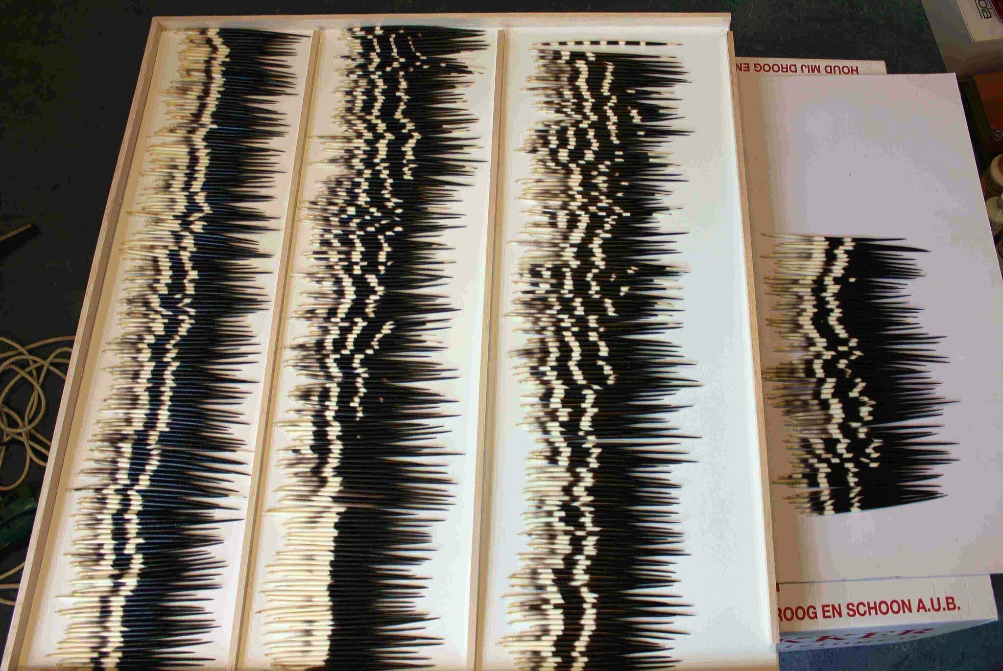 500 porcupine quills arranged by pattern